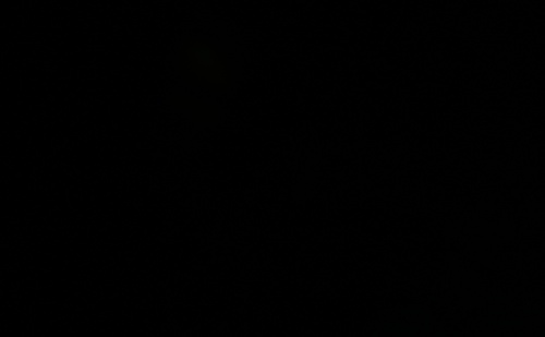 278
